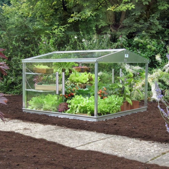 Frühbeet Access Coldframe