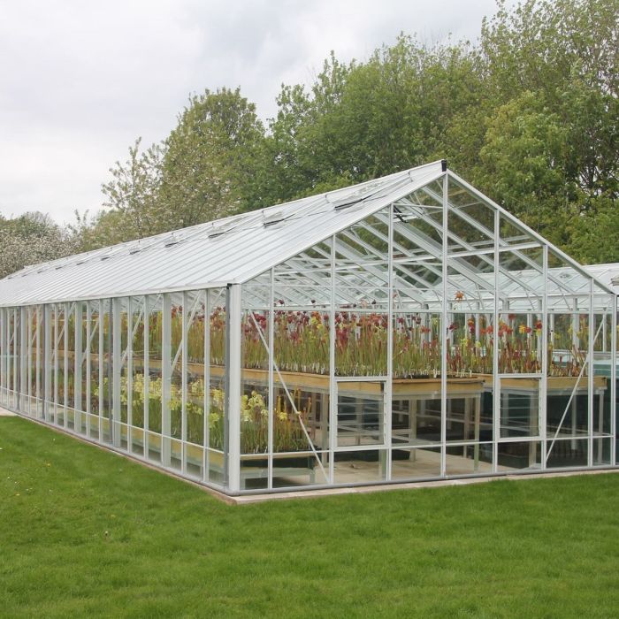 Gewächshaus Robinsons Renown