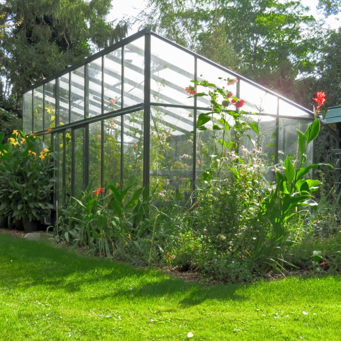 Gewächshaus Euroserre Modern