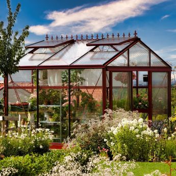 Gewächshaus Euroserre Maxi 310 TROPIC