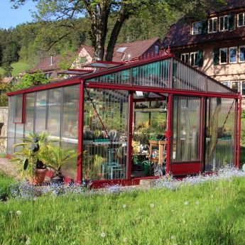 Gewächshaus Euroserre Maxi Plus 409 TROPIC