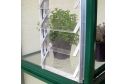 Lamellenfenster Access Classic (automatisch)