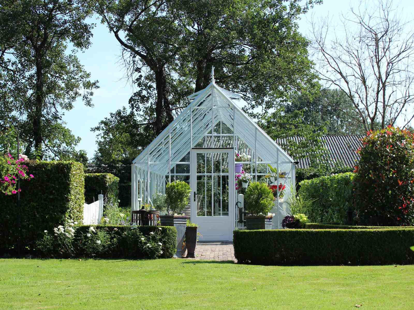 Robinsons Reigate Alu-Gewächshaus | 4 mm Sicherheitsglas | ab B354xL263cm | Alu Blank oder Pulverlackiert | 10 Jahre Garantie | viktorianisches...