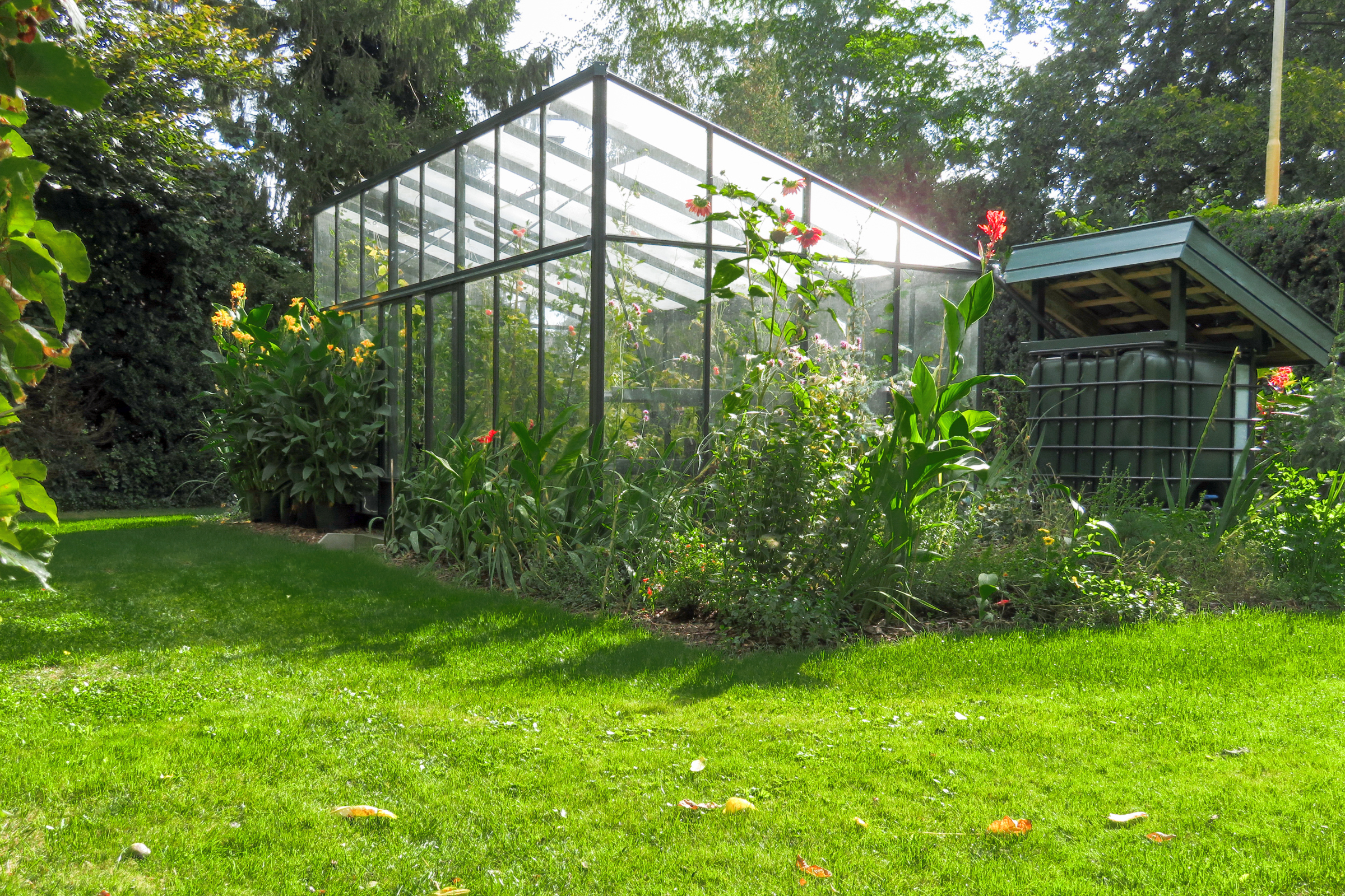 Modern Alu-Gewächshaus | 4 mm Sicherheitsglas | ab B309xL309cm | Alu Blank oder Pulverlackiert | 12 Jahre Garantie | hochwertiges Gewächshaus