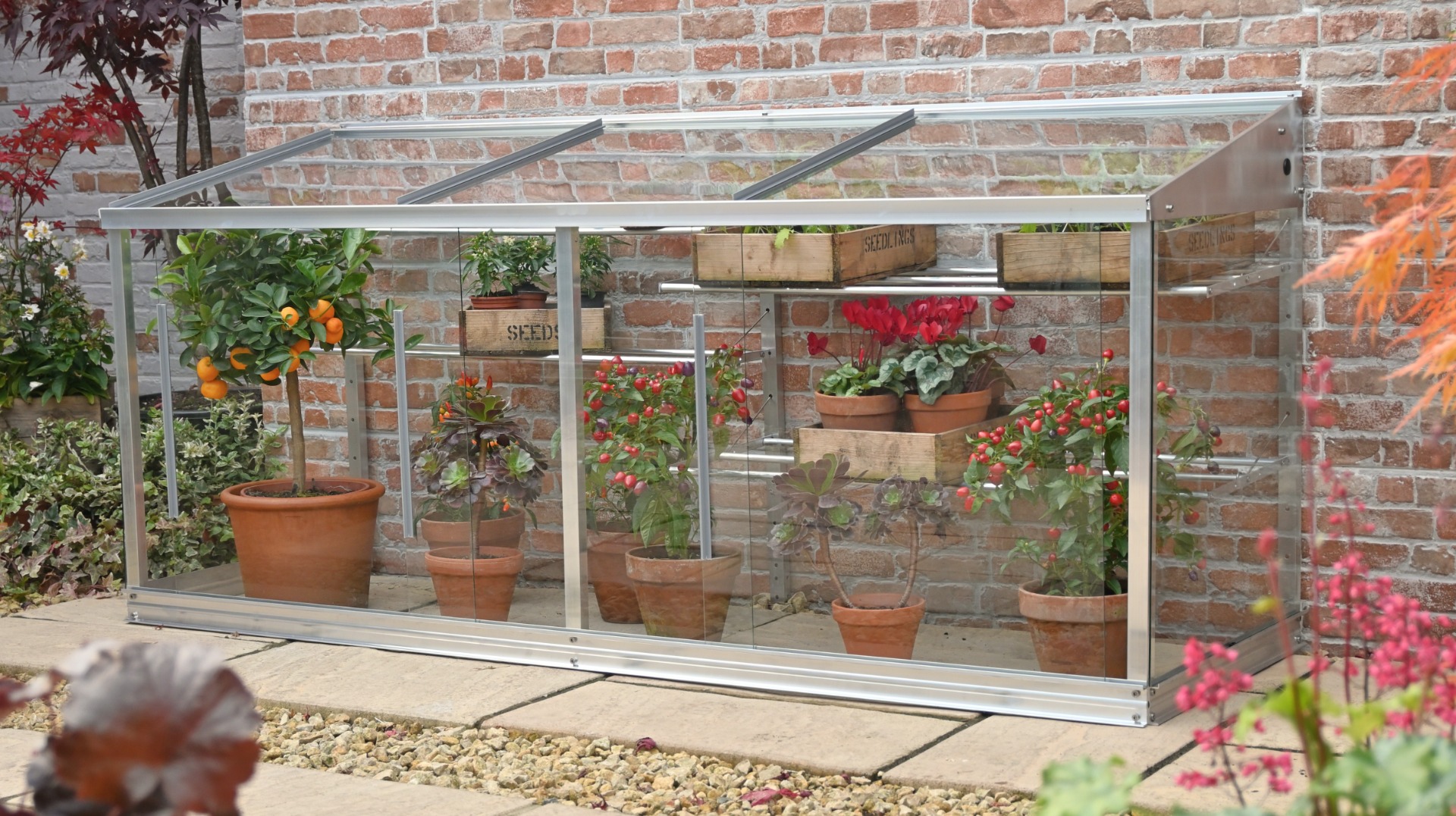 Mini-Gewächshaus-half-growhouse